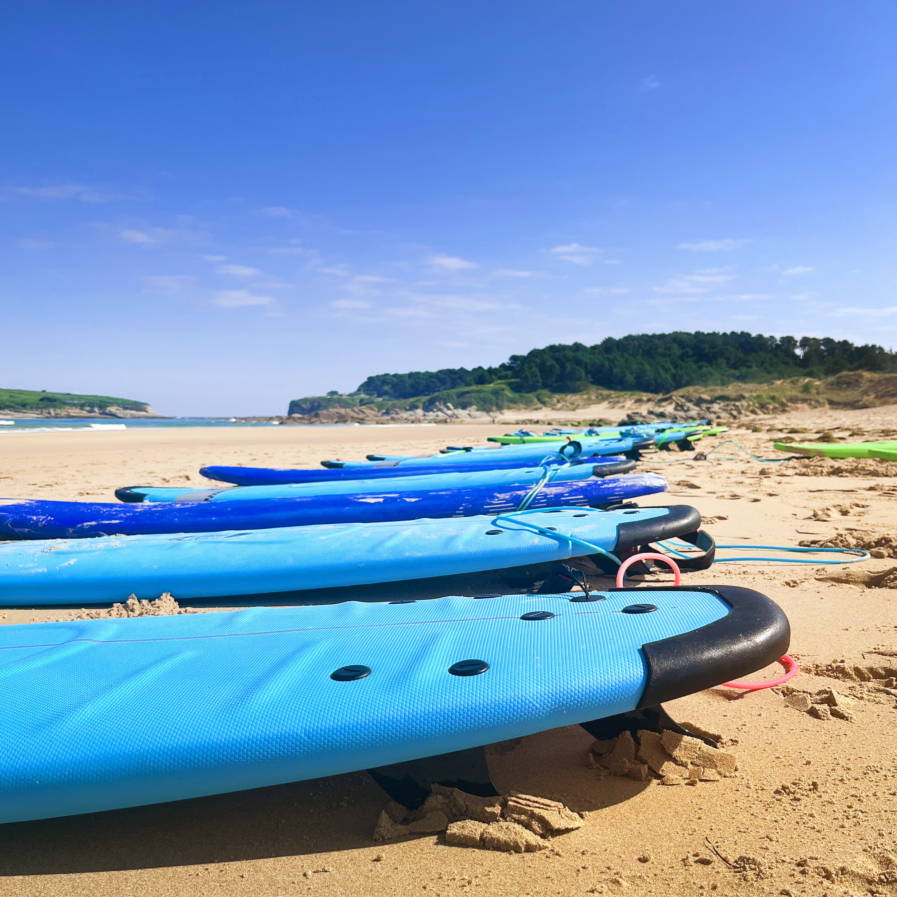 tablas de surf colocadas para los alumnos